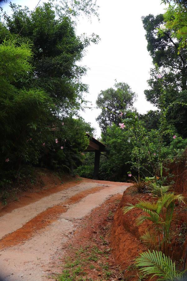 Coorg Nature Breeze Home Stay Madikeri Exteriör bild