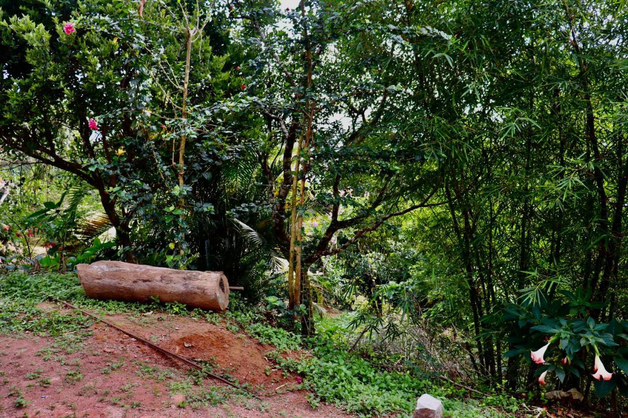 Coorg Nature Breeze Home Stay Madikeri Exteriör bild